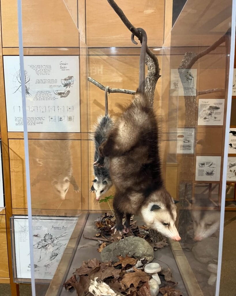 Sugarlands Visitor Center
