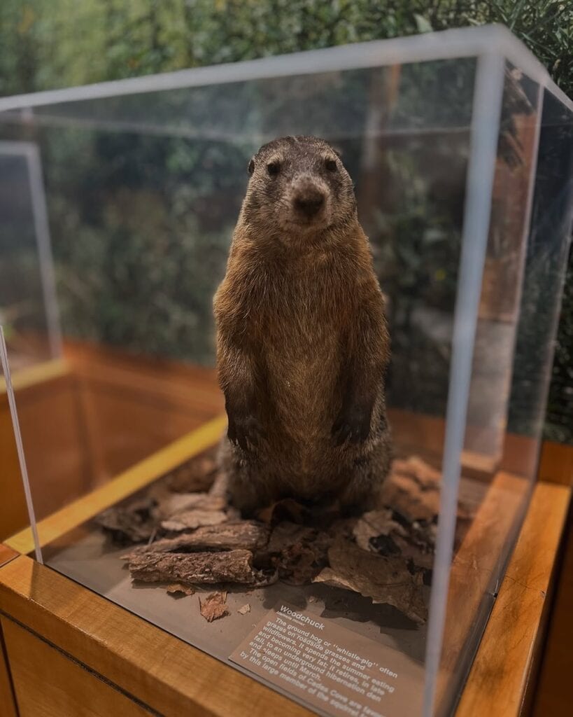 Sugarlands Visitor Center