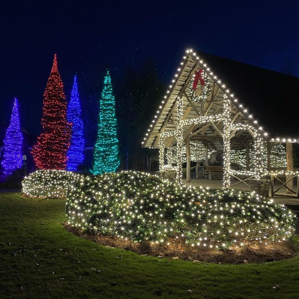 Christmas on the Green