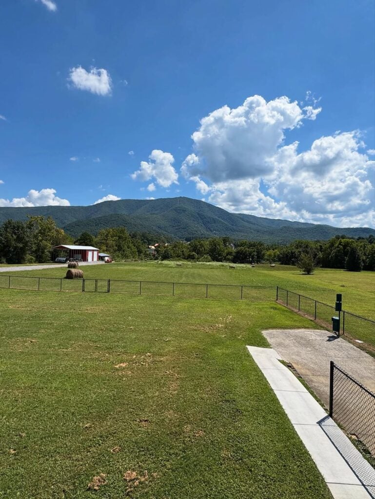 Sloppy Hog Burger Joint